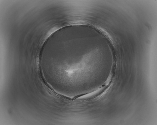 X0000111841457200907301040