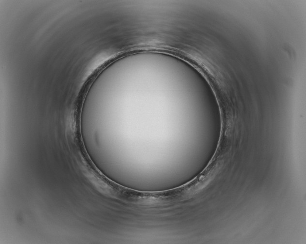 X0000111841458200907301040