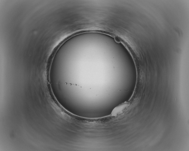 X0000111841460200907301040