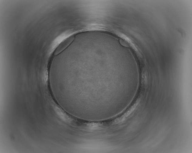 X0000111841461200907301040