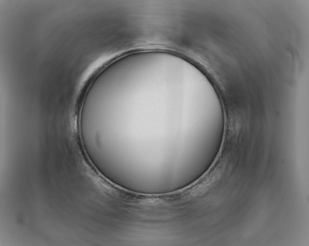 X0000111841462200907301040