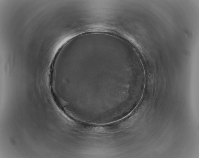 X0000111841463200907301040