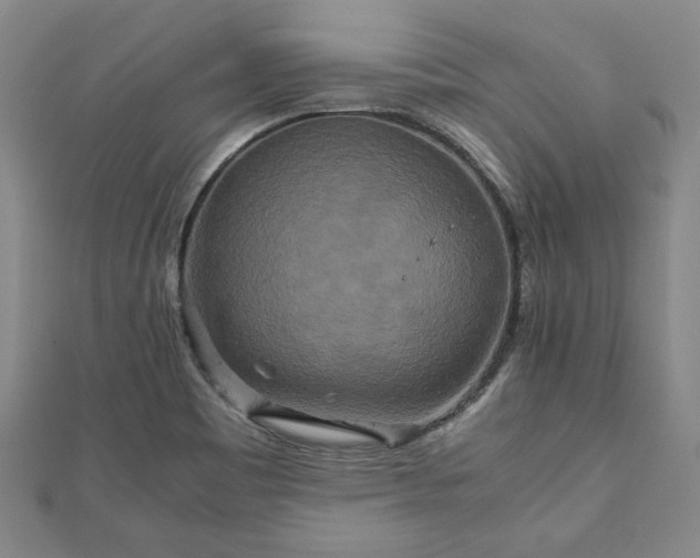 X0000111841465200907301039