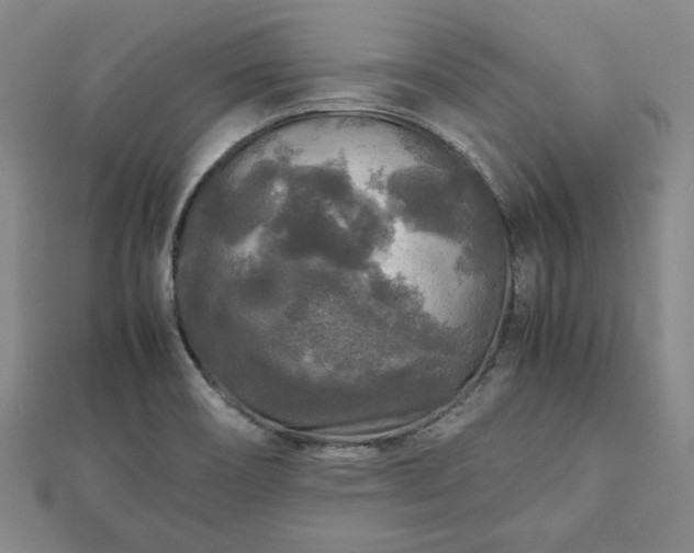 X0000111841466200907301039