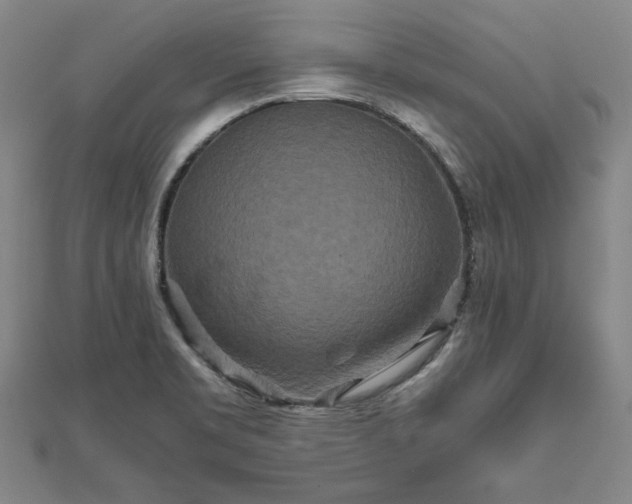 X0000111841469200907301039