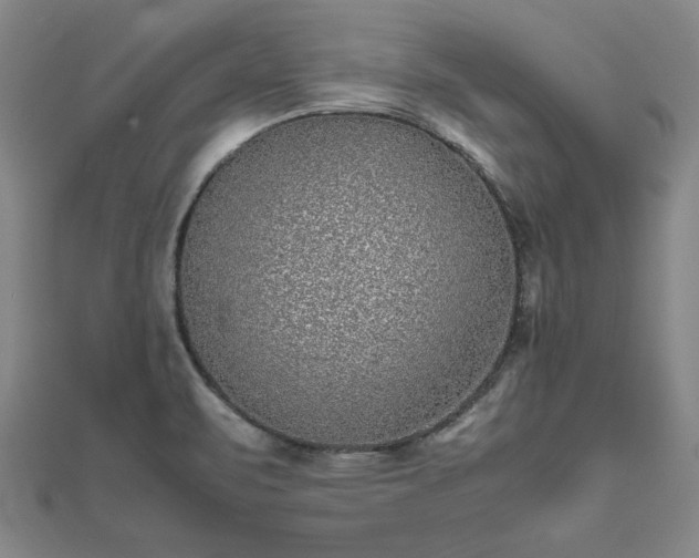 X0000111841471200907301039