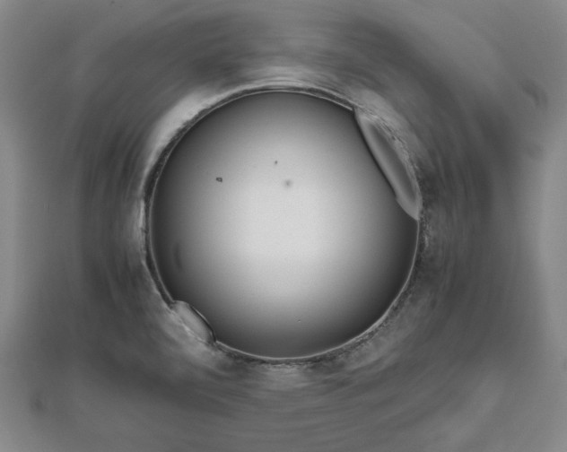 X0000111841472200907301039