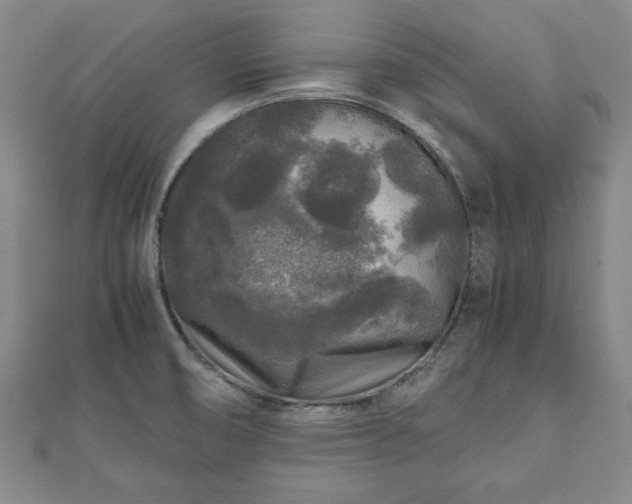 X0000111841474200907301039