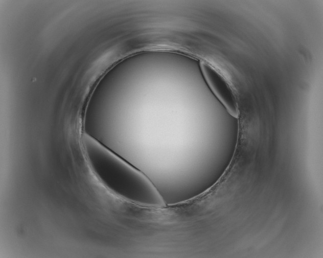 X0000111841476200907301039