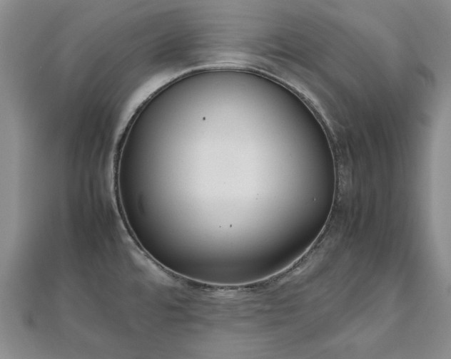 X0000111841480200907301039