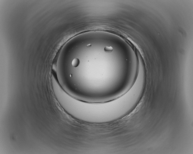 X0000111841481200907301039