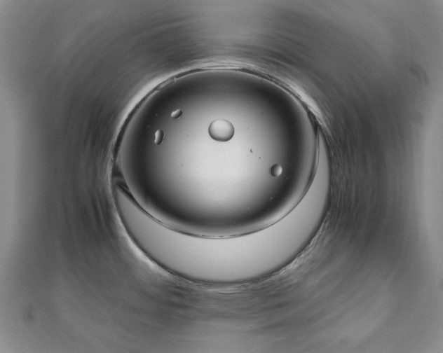 X0000111841484200907301039