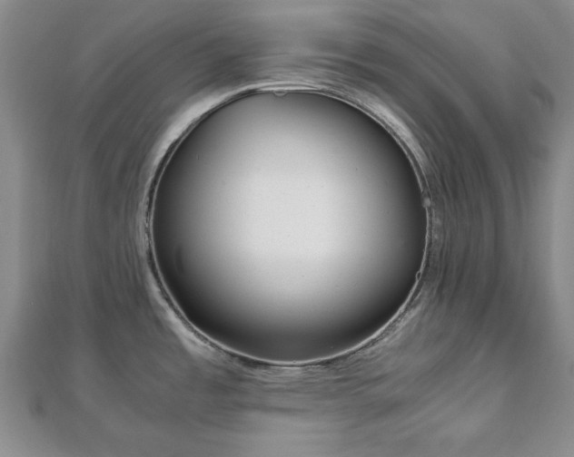 X0000111841485200907301039