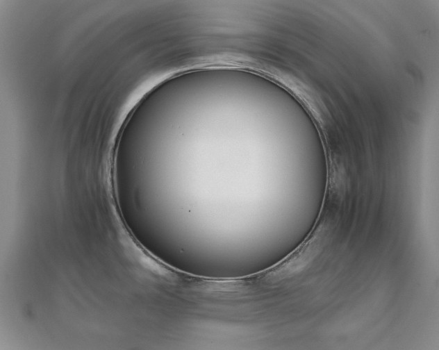 X0000111841486200907301039