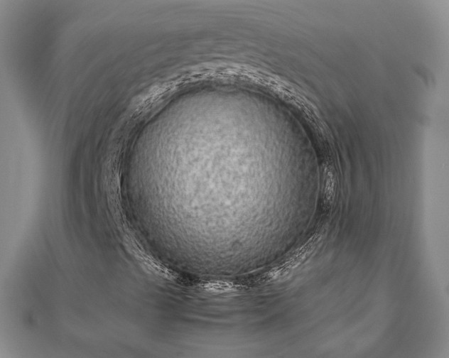 X0000111841489200907301039