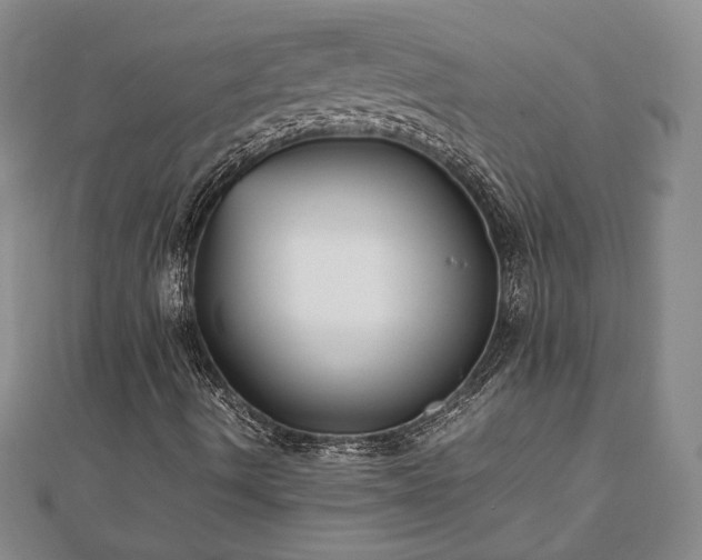 X0000111841490200907301039