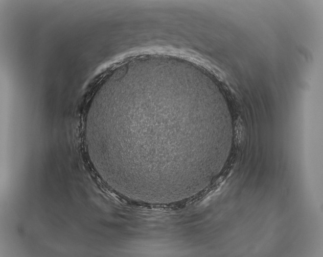 X0000111841494200907301039