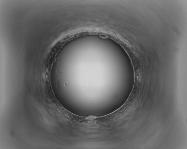 X0000111841495200907301039