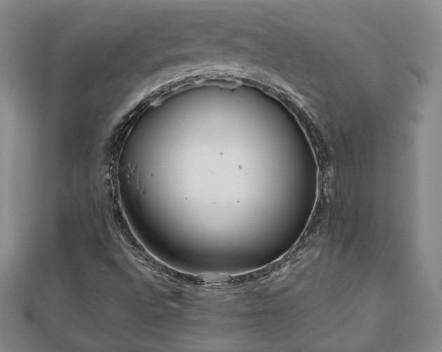 X0000111841496200907301039