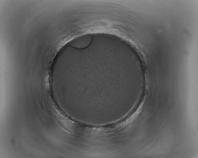 X0000111841497200907301039