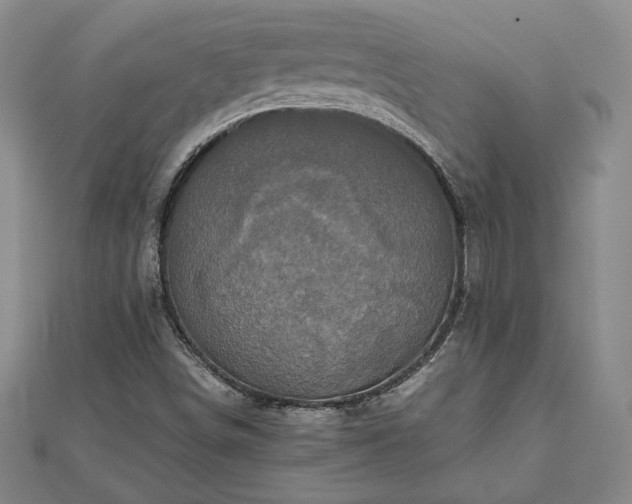 X0000111841498200907301039