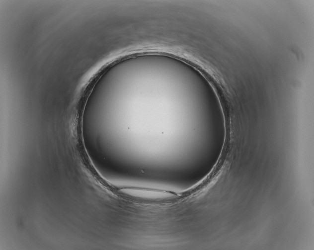 X0000111841502200907301039