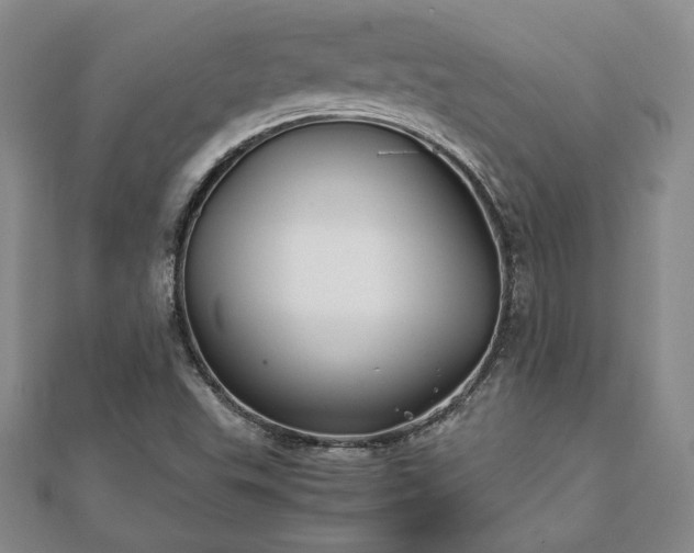 X0000111841503200907301039