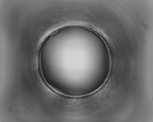 X0000111841504200907301039