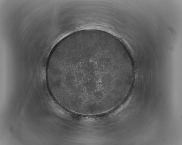 X0000111841505200907301039