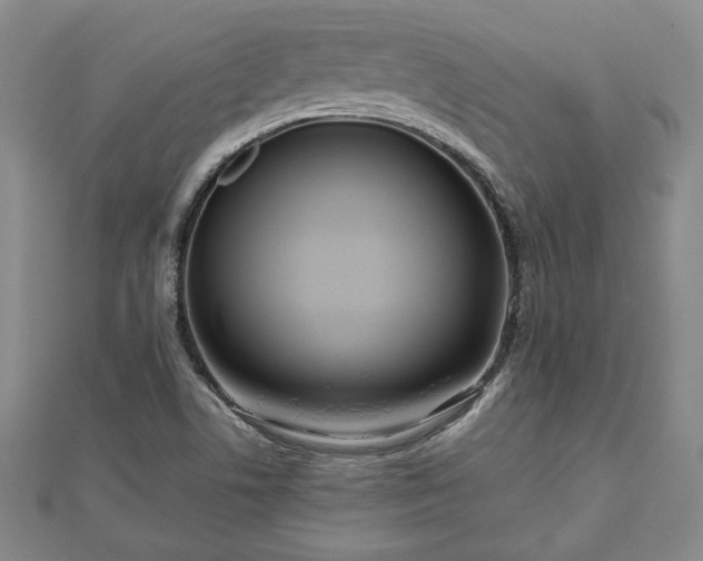 X0000111841506200907301039