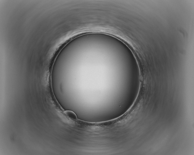 X0000111841507200907301039