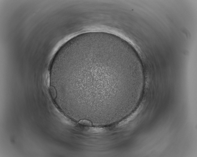 X0000111841509200907301039