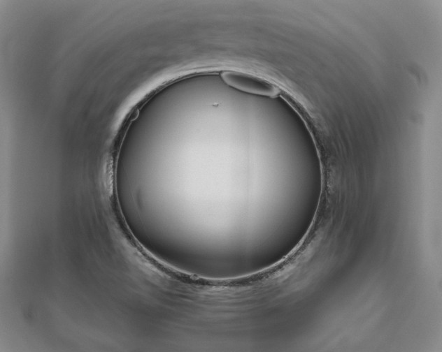 X0000111841510200907301039