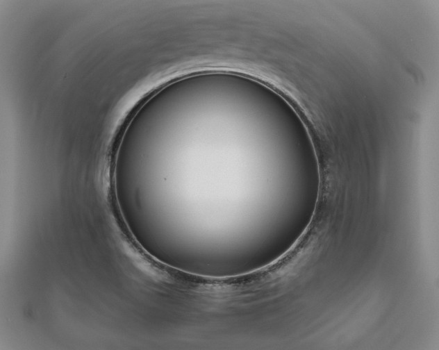 X0000111841511200907301039