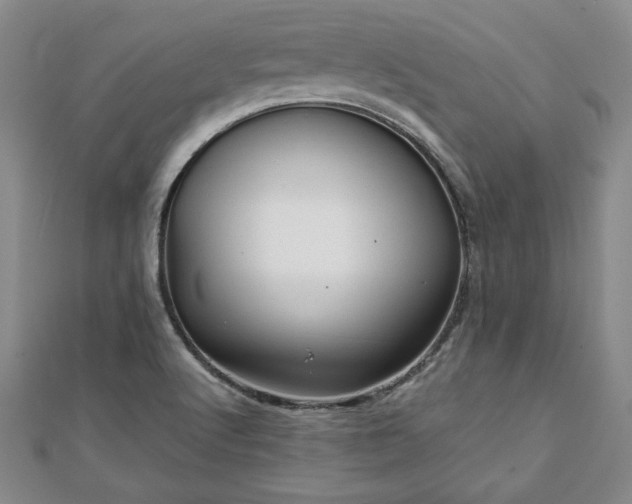 X0000111841512200907301039