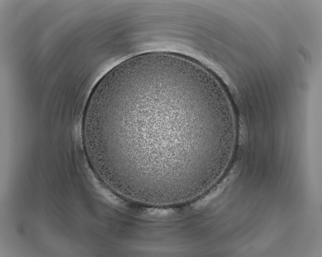 X0000111841513200907301039