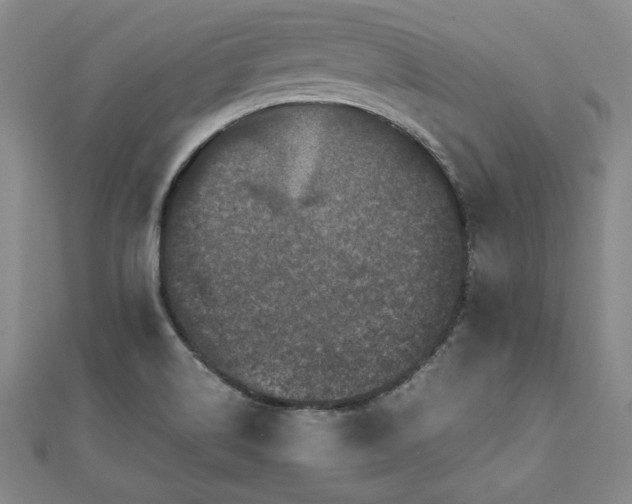 X0000111841514200907301039