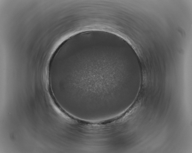 X0000111841515200907301039