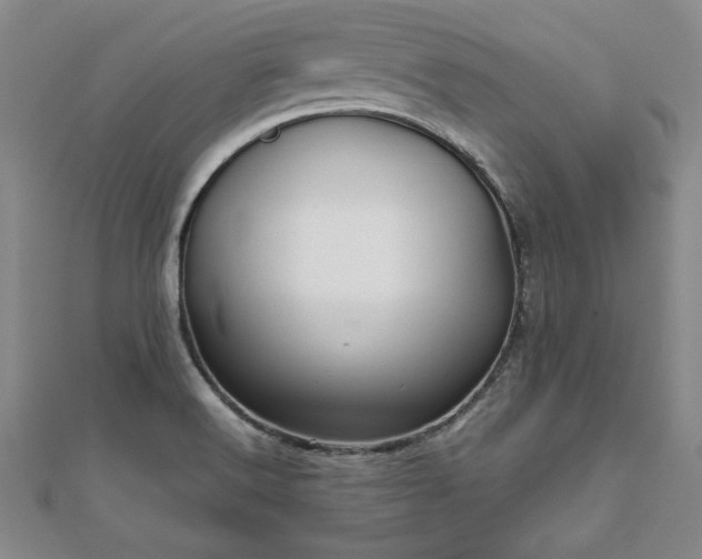 X0000111841516200907301039