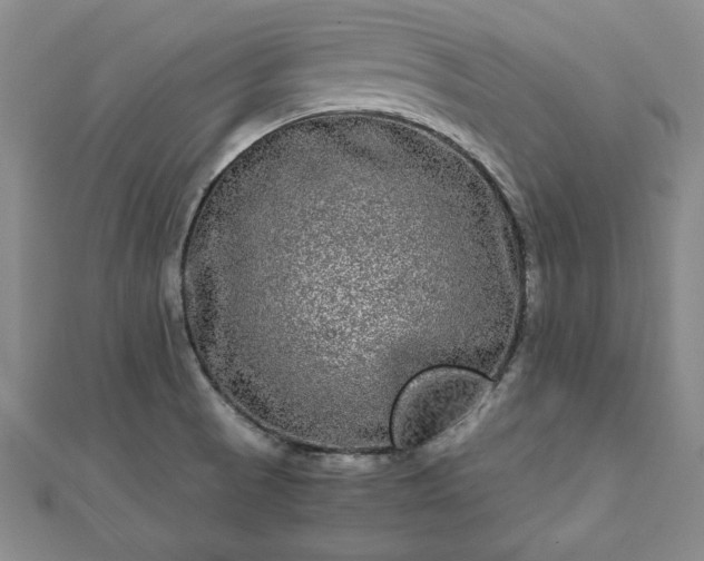 X0000111841521200907301039