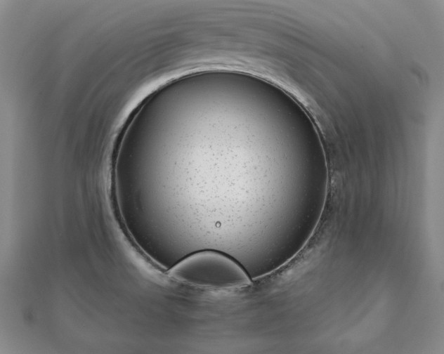 X0000111841523200907301039