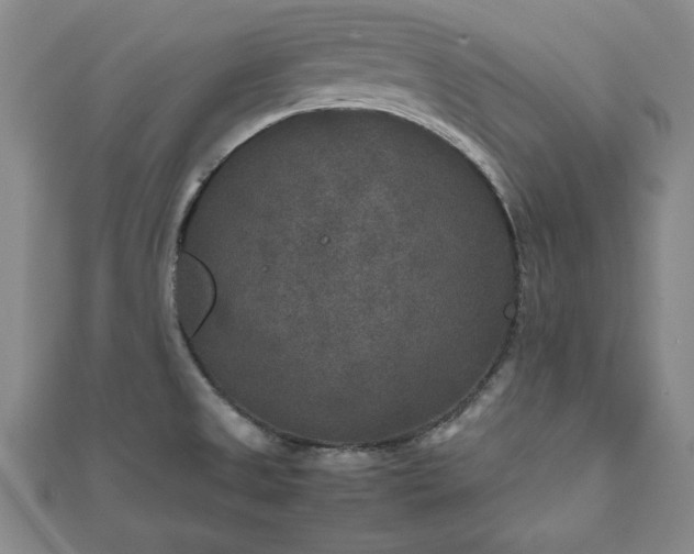 X0000111841525200907301039