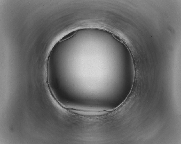 X0000111841528200907301039