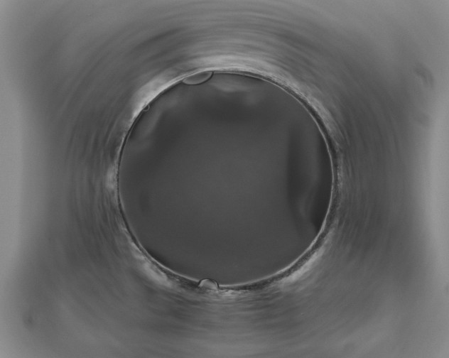 X0000111841529200907301039