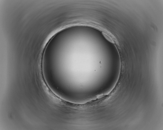 X0000111841530200907301039