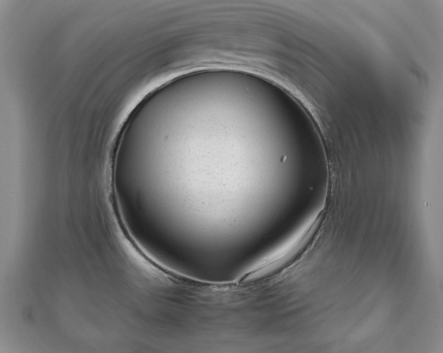 X0000111841531200907301039