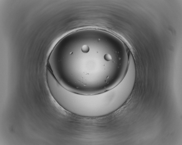 X0000111841532200907301039