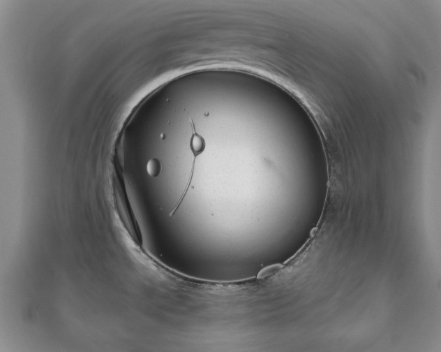 X0000111841534200907301039