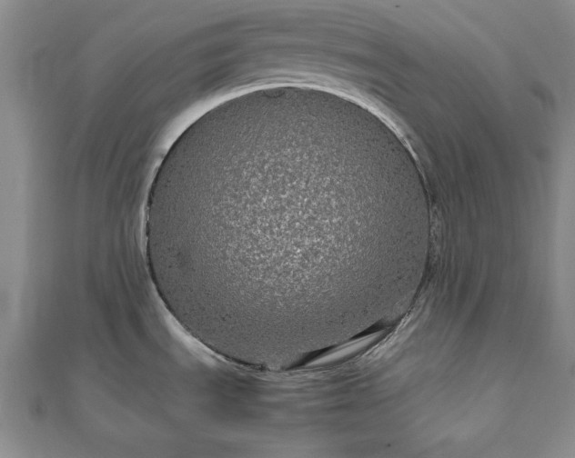 X0000111841535200907301039