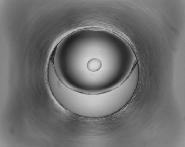 X0000111841536200907301039